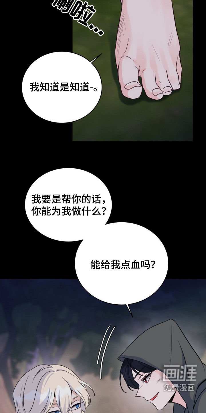 第41章：迷路