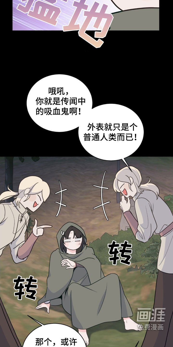 第41章：迷路