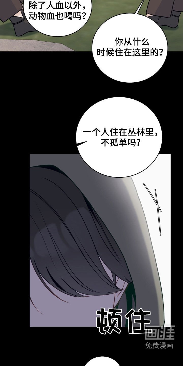 第41章：迷路