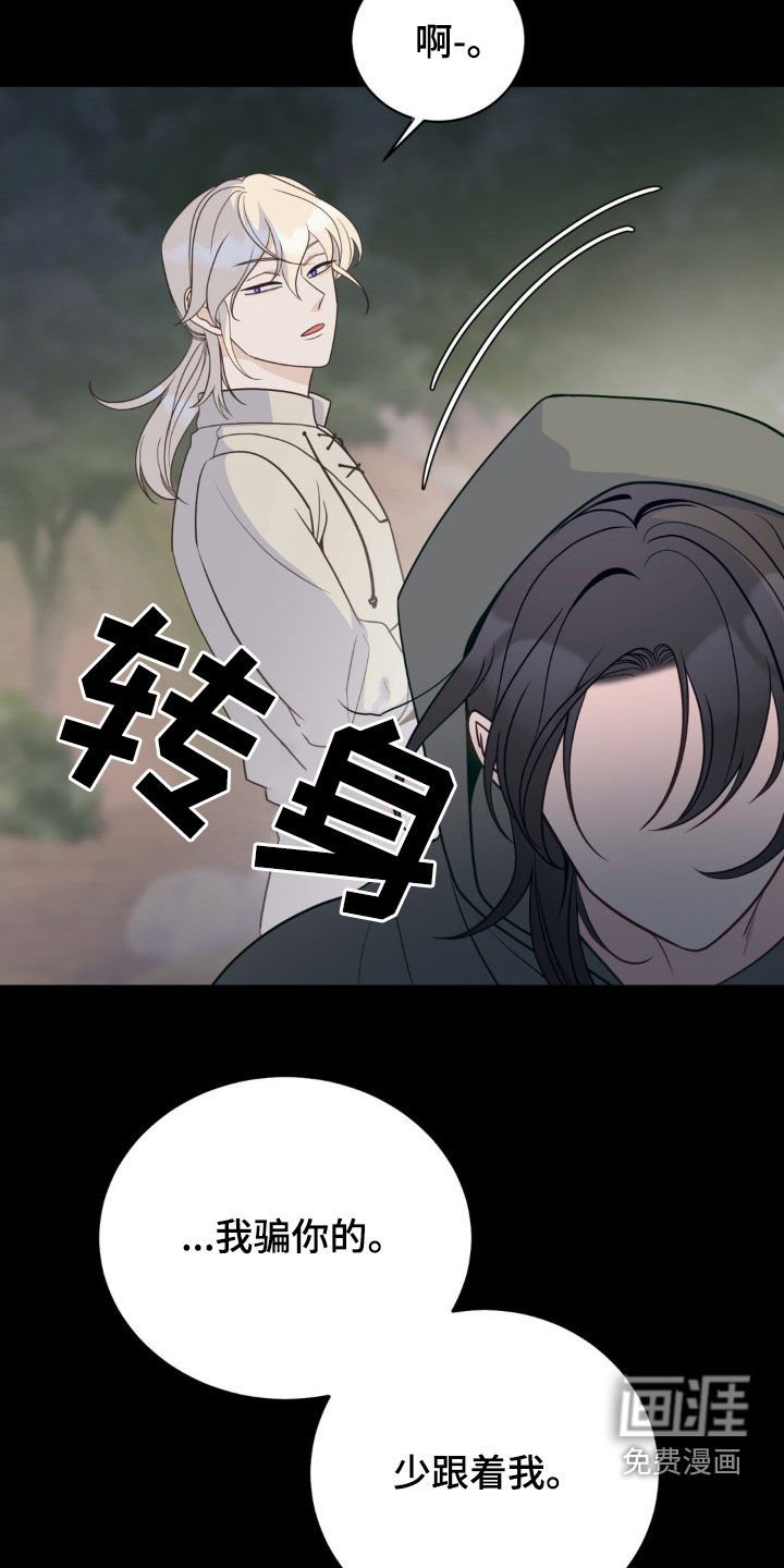 第41章：迷路