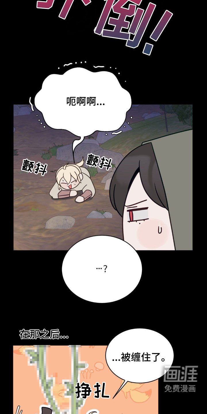 第41章：迷路