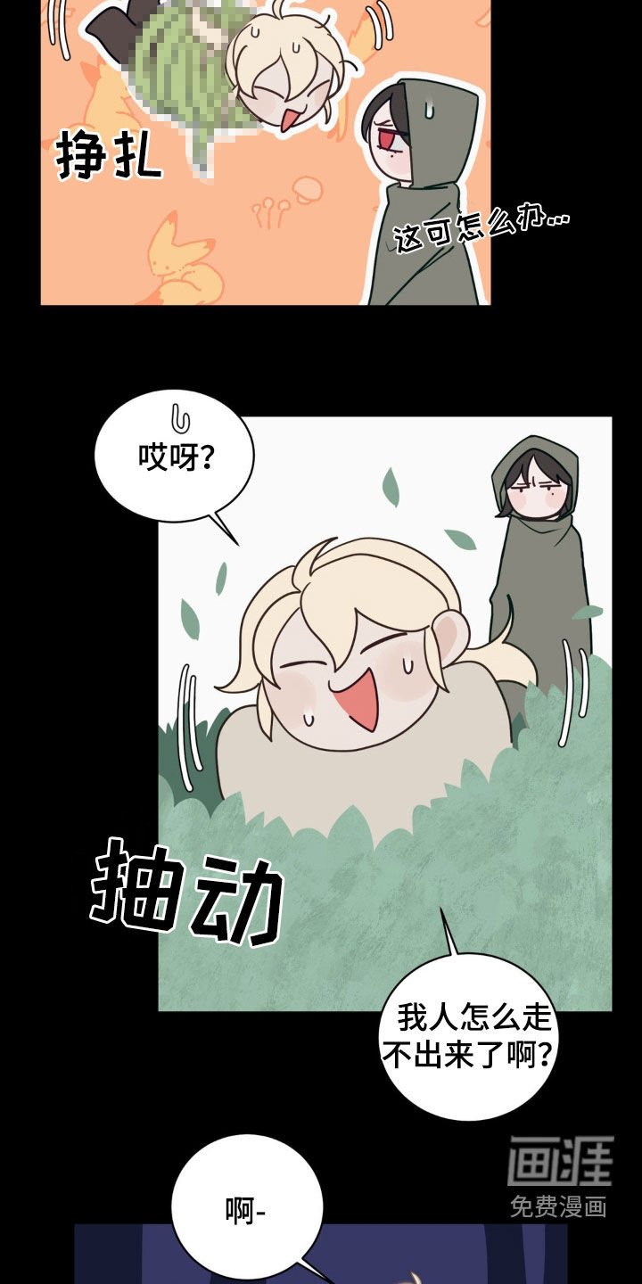 第41章：迷路
