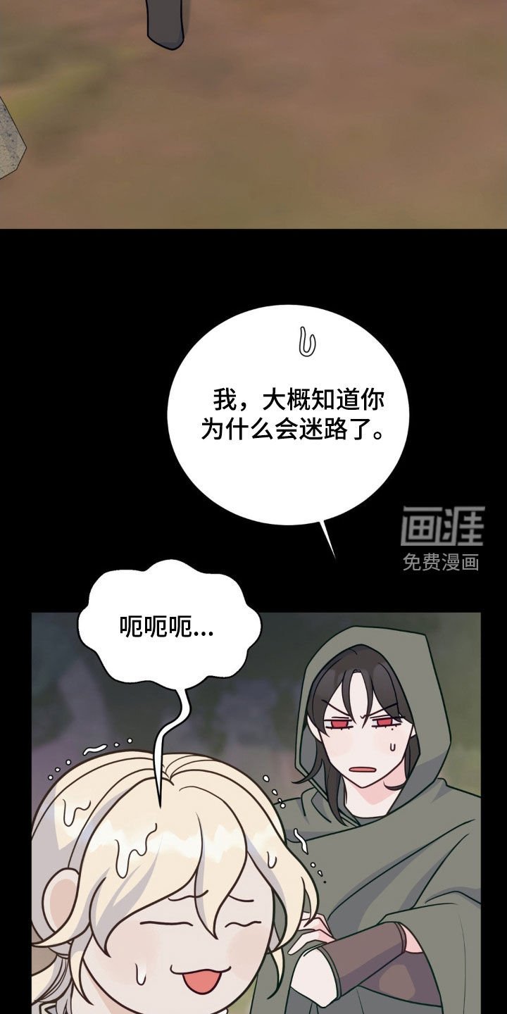 第41章：迷路