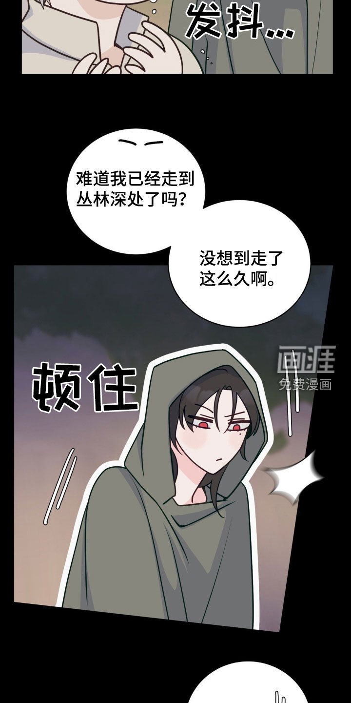 第41章：迷路