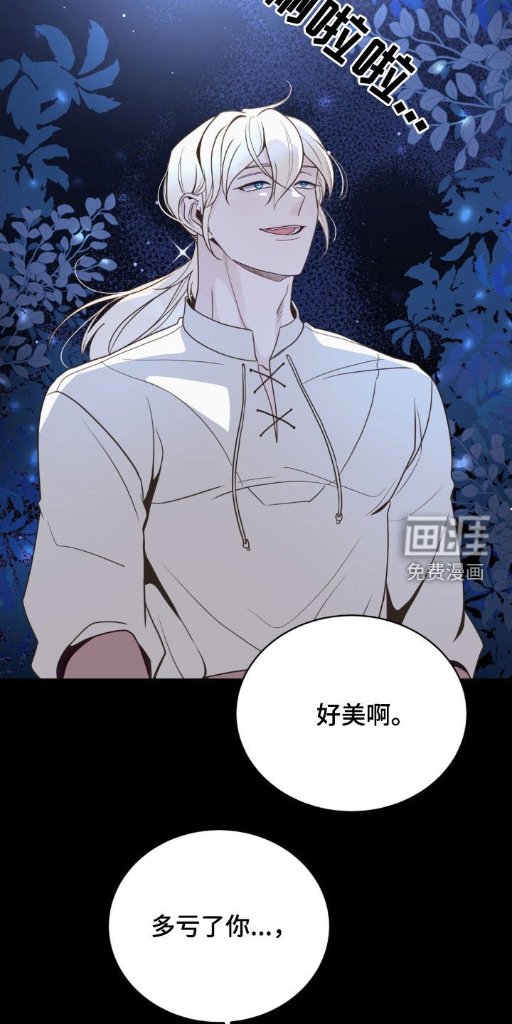 第41章：迷路