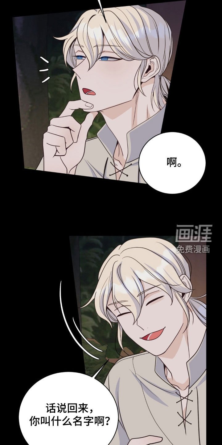 第41章：迷路