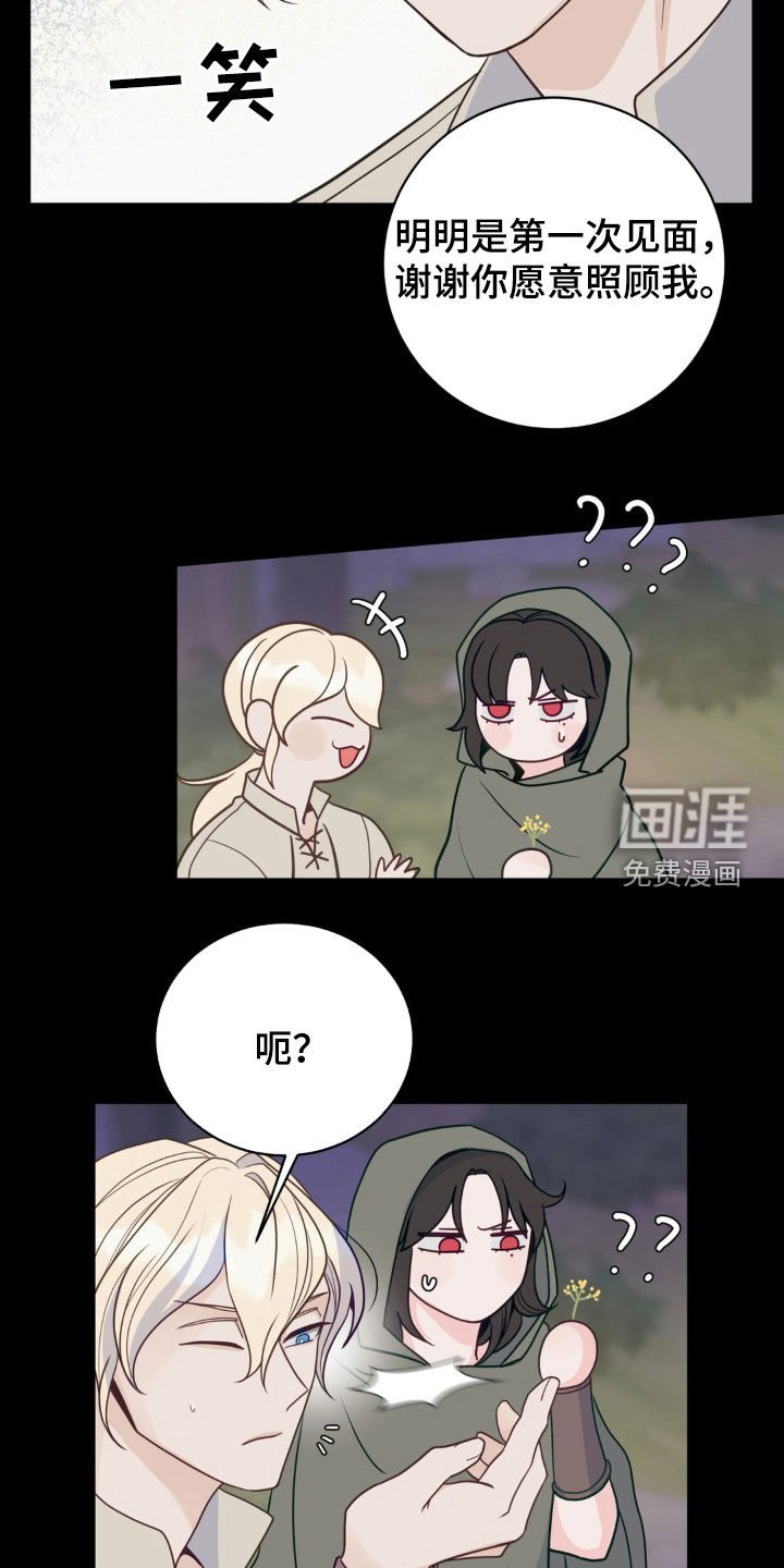 第41章：迷路