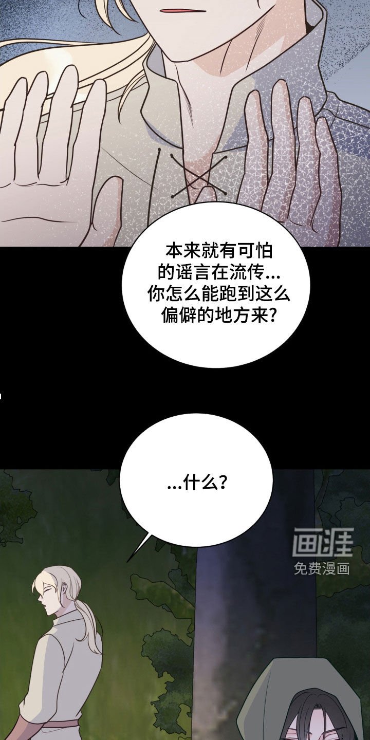 第42章：会合