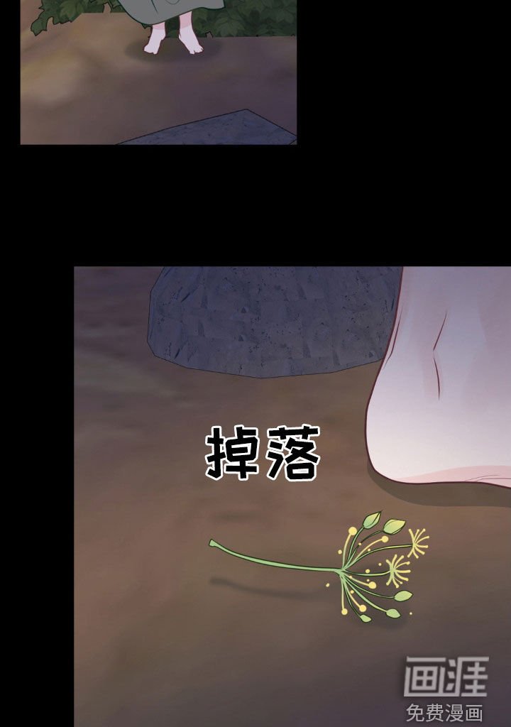第42章：会合