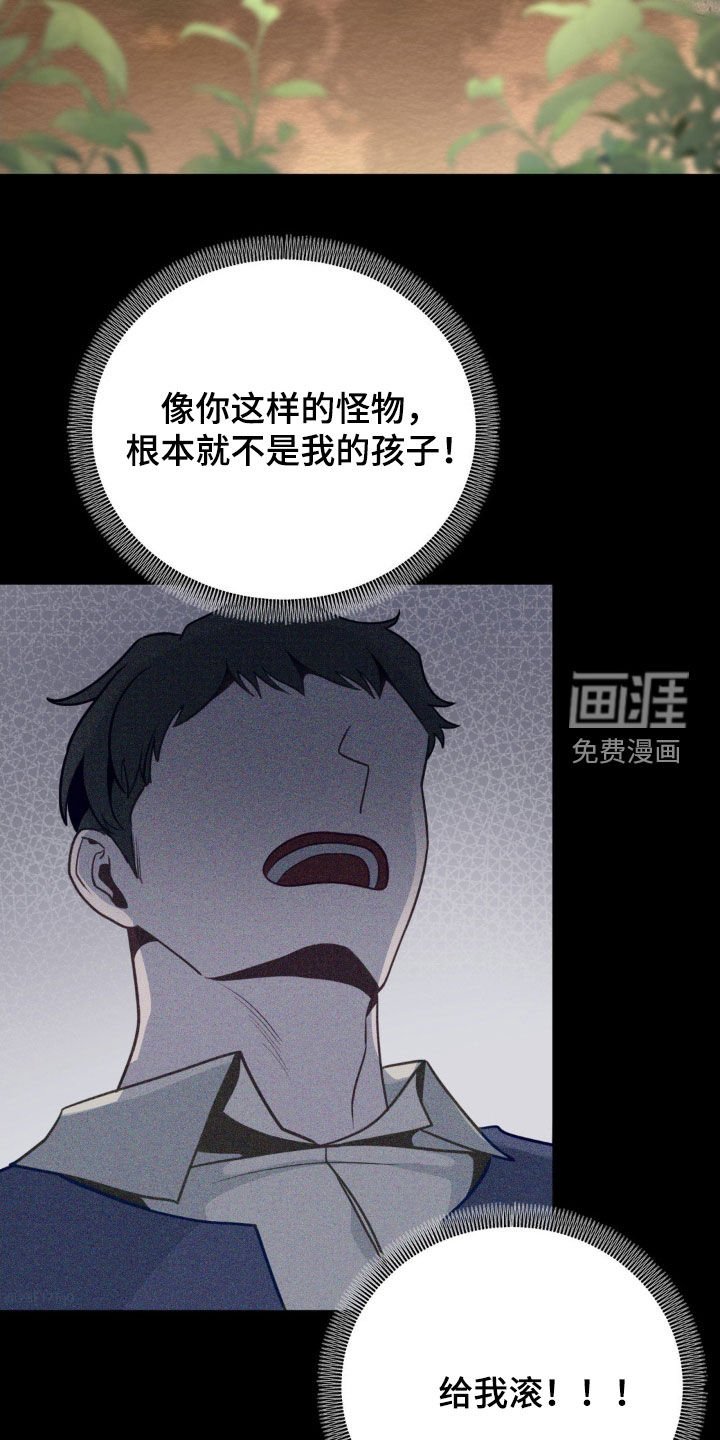 第43章：朋友