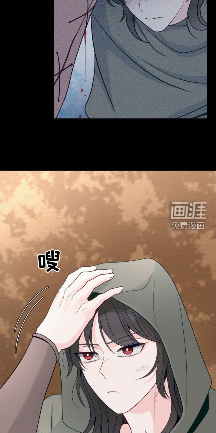 第43章：朋友