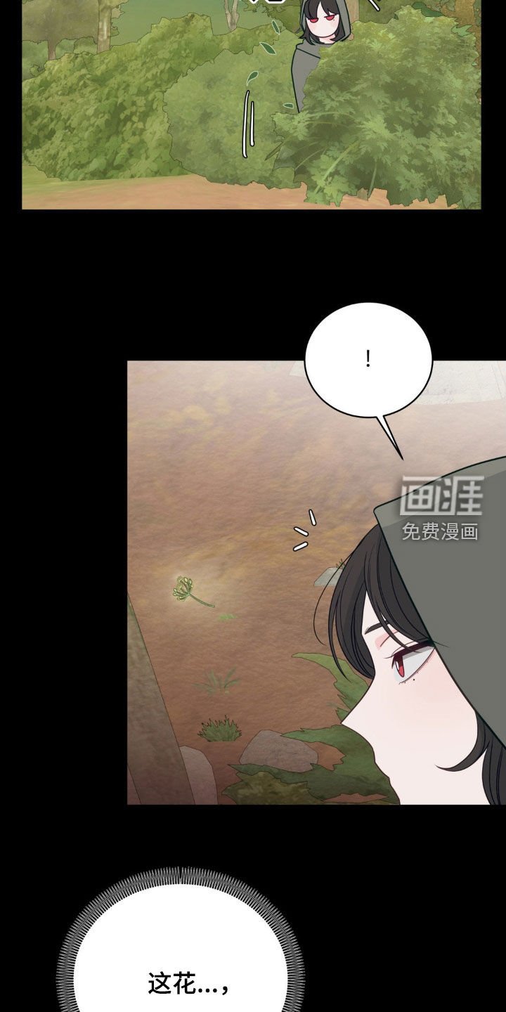 第43章：朋友