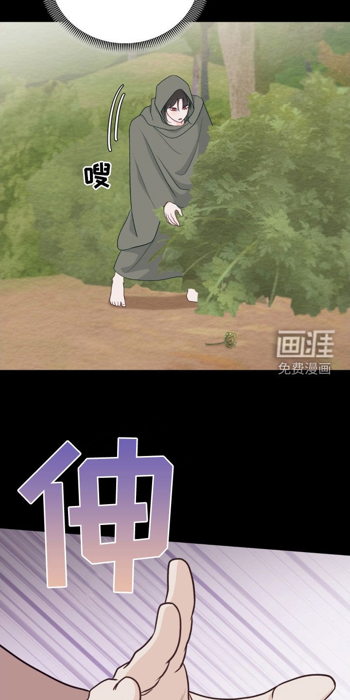 第43章：朋友