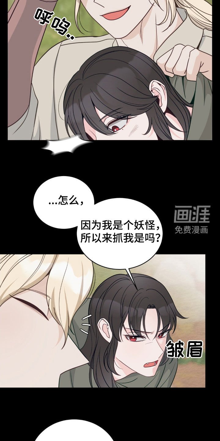 第43章：朋友