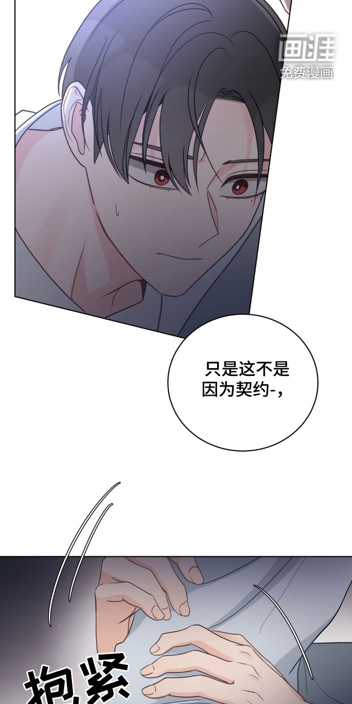 第48章：因为我喜欢你