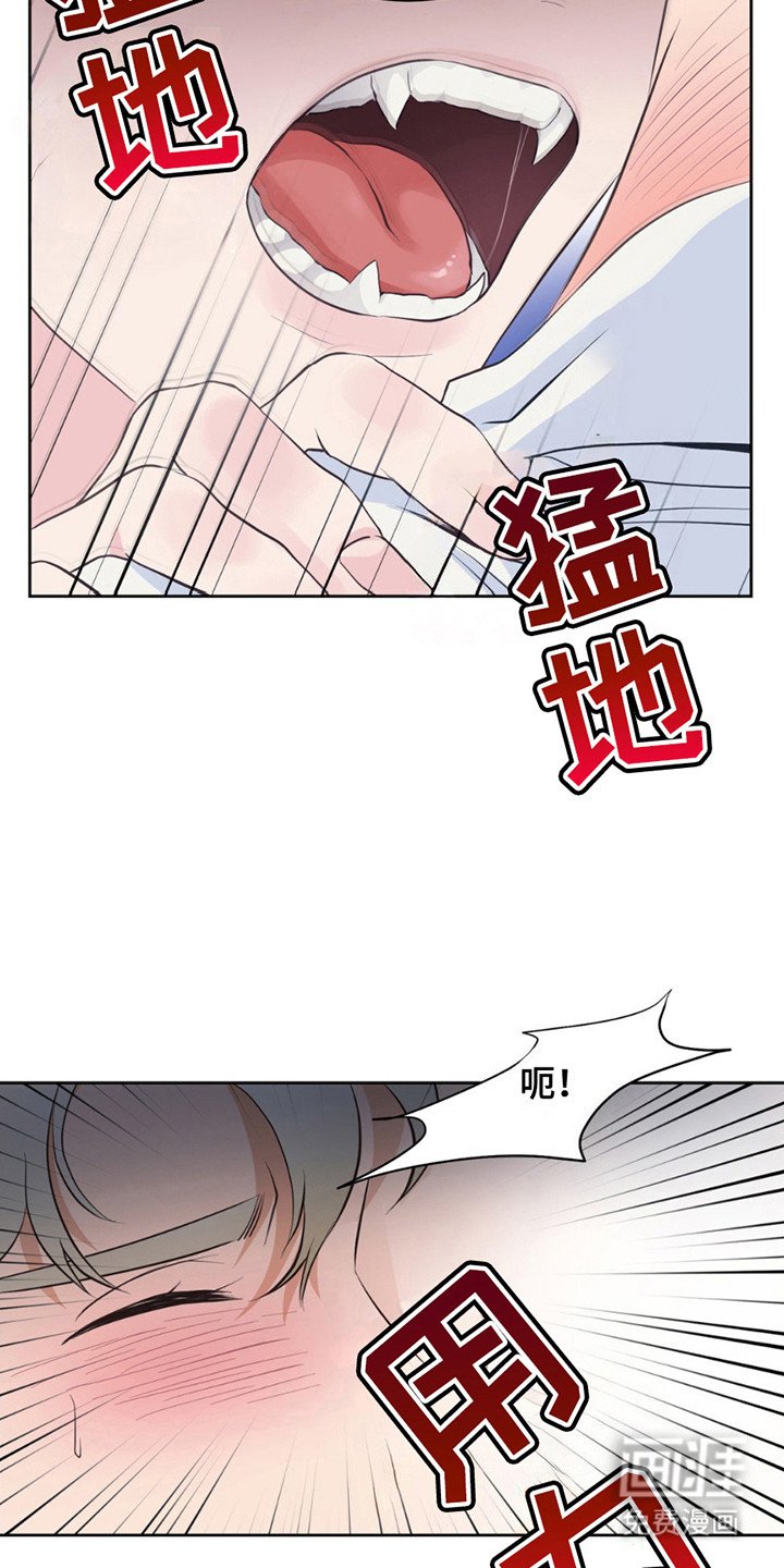 第5章：好时机
