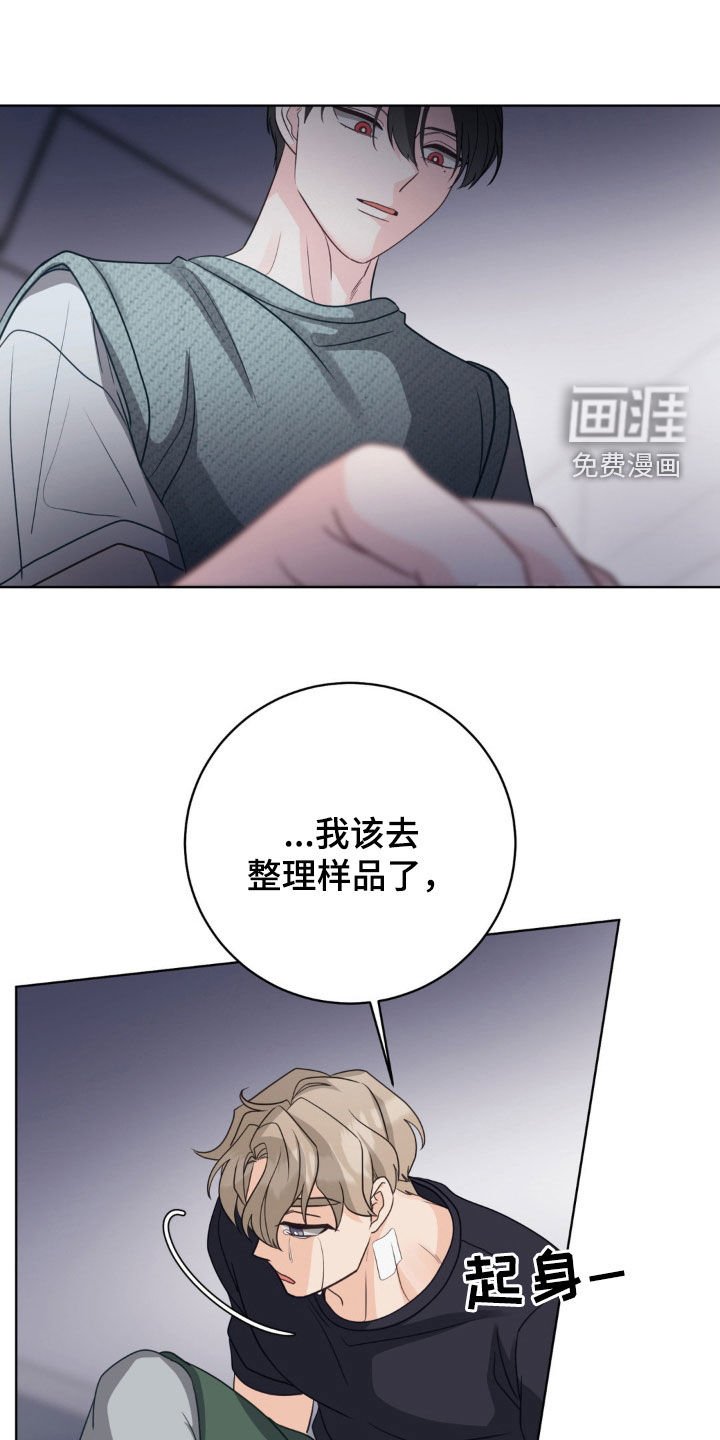 第52章：真是不会说谎