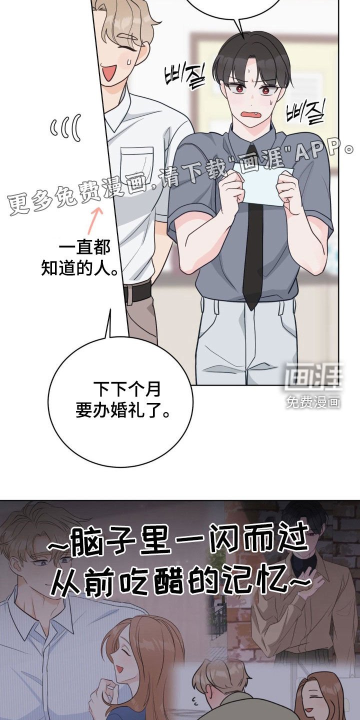 第62章：椴树花茶