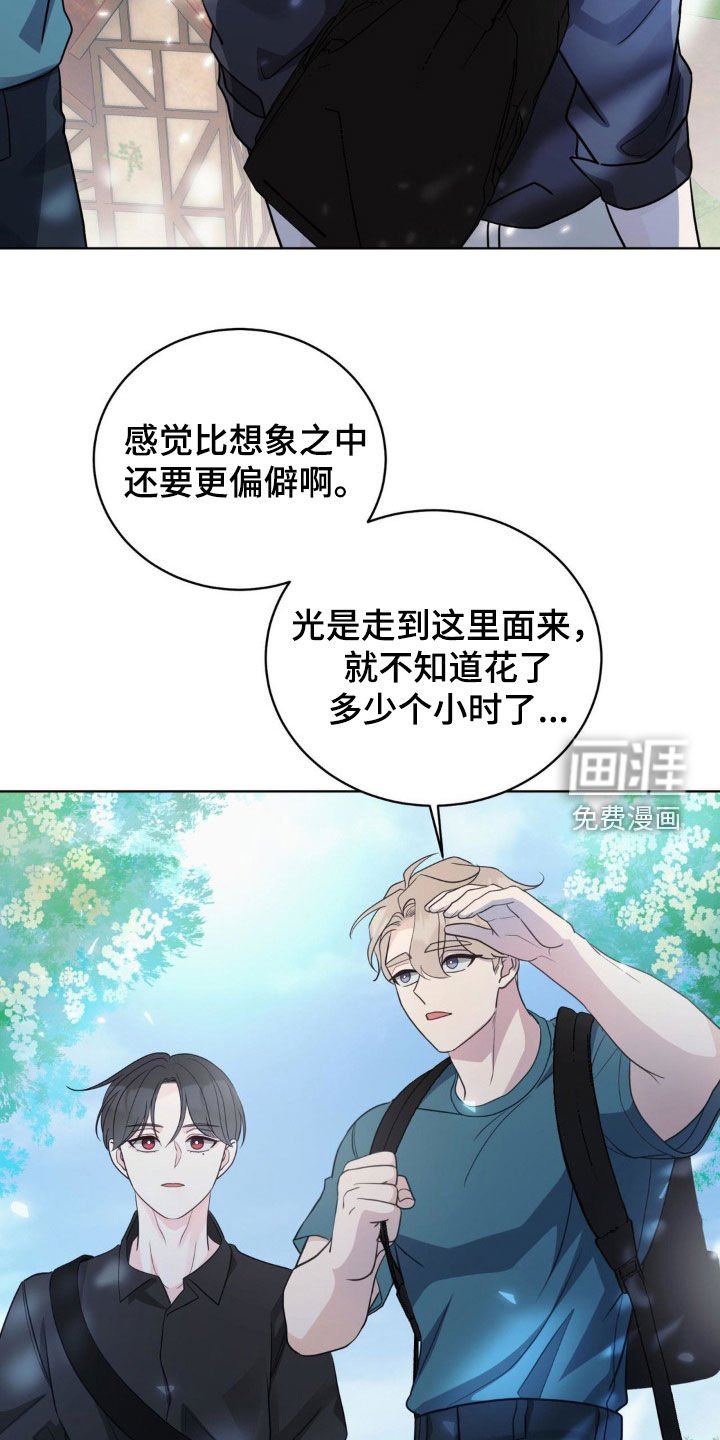 第62章：椴树花茶