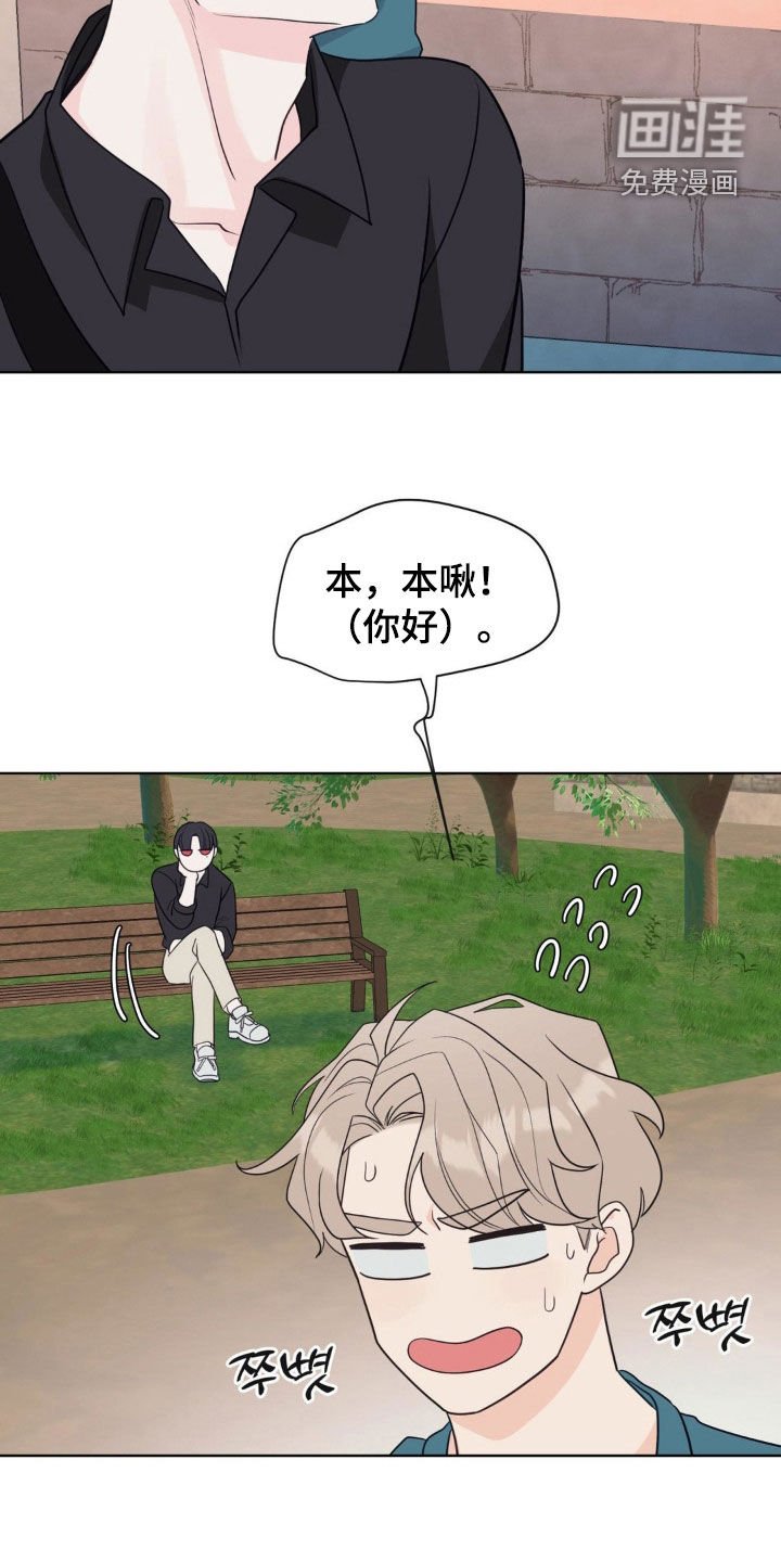 第62章：椴树花茶
