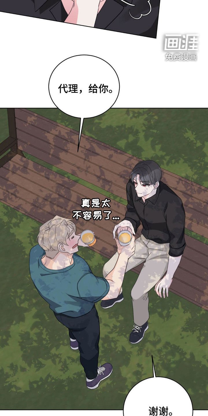 第62章：椴树花茶