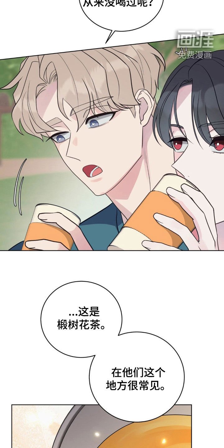 第62章：椴树花茶