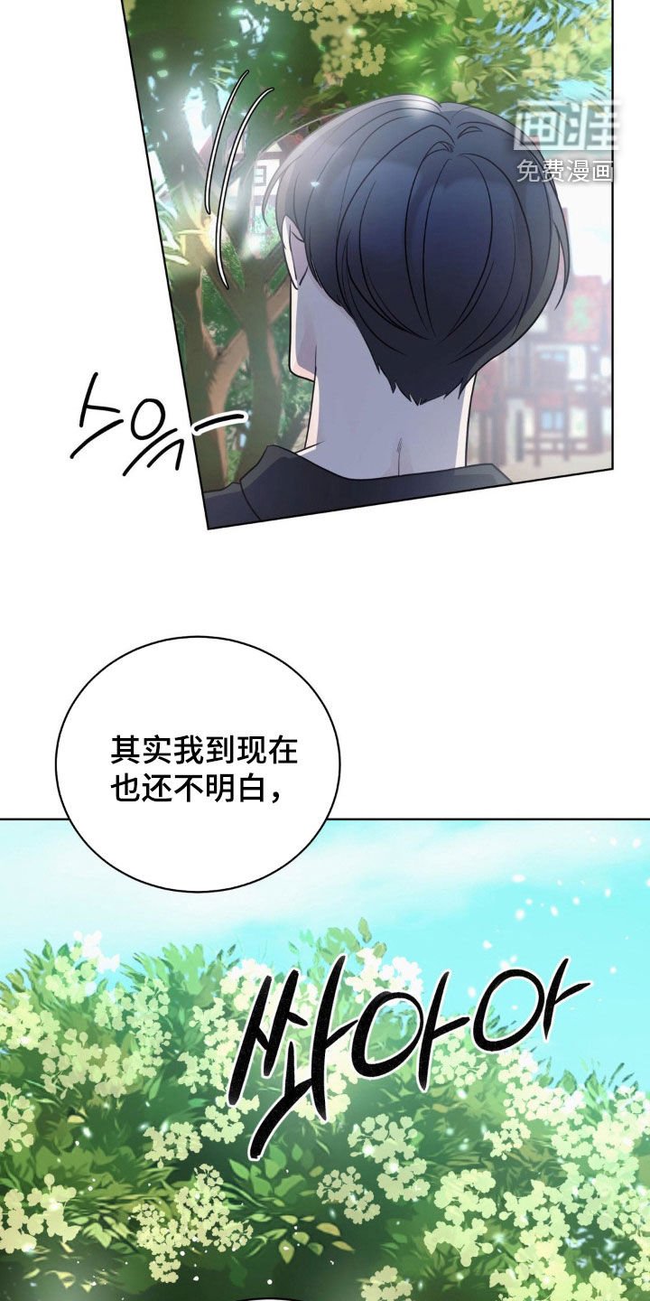 第62章：椴树花茶