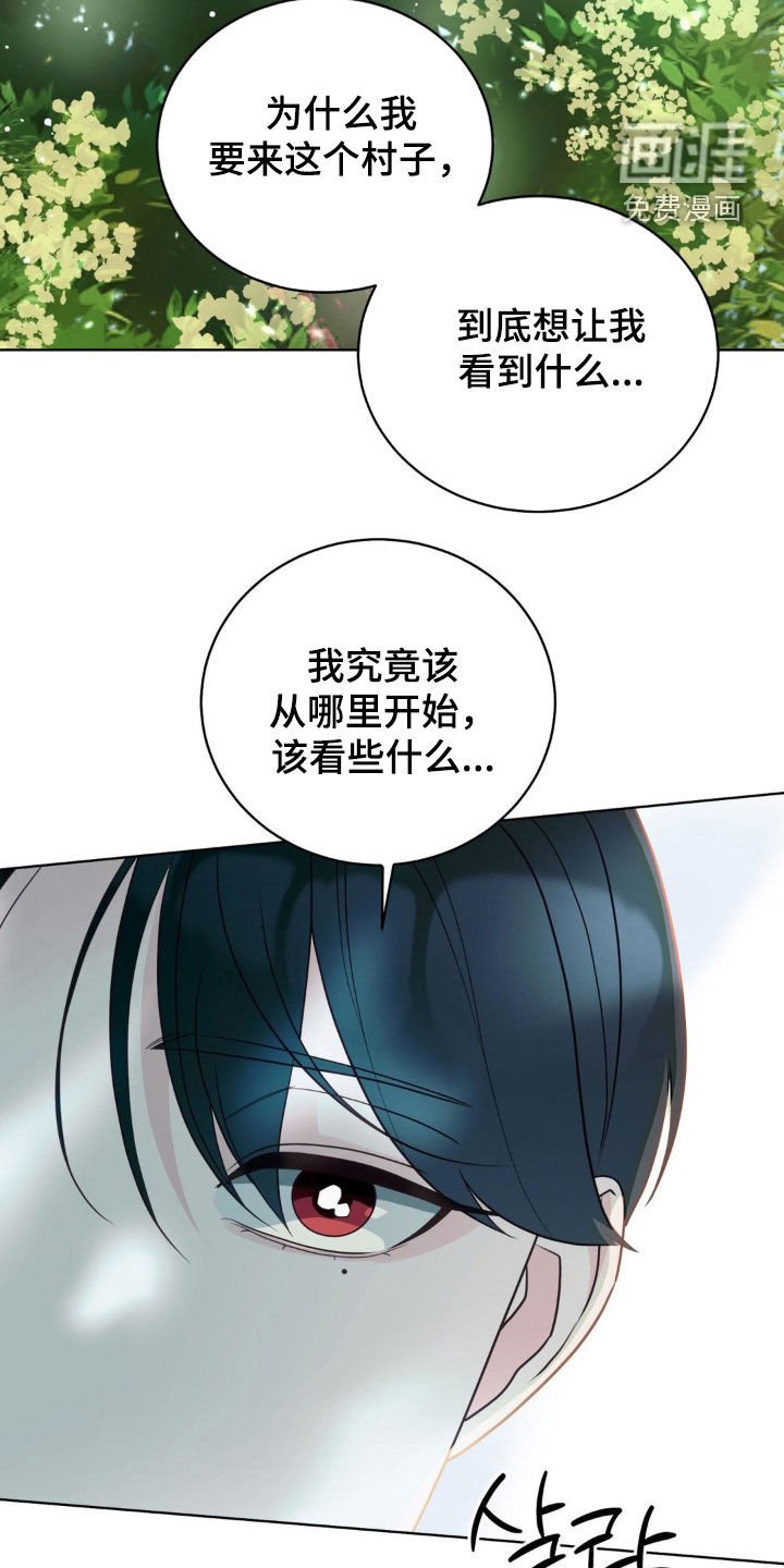 第62章：椴树花茶