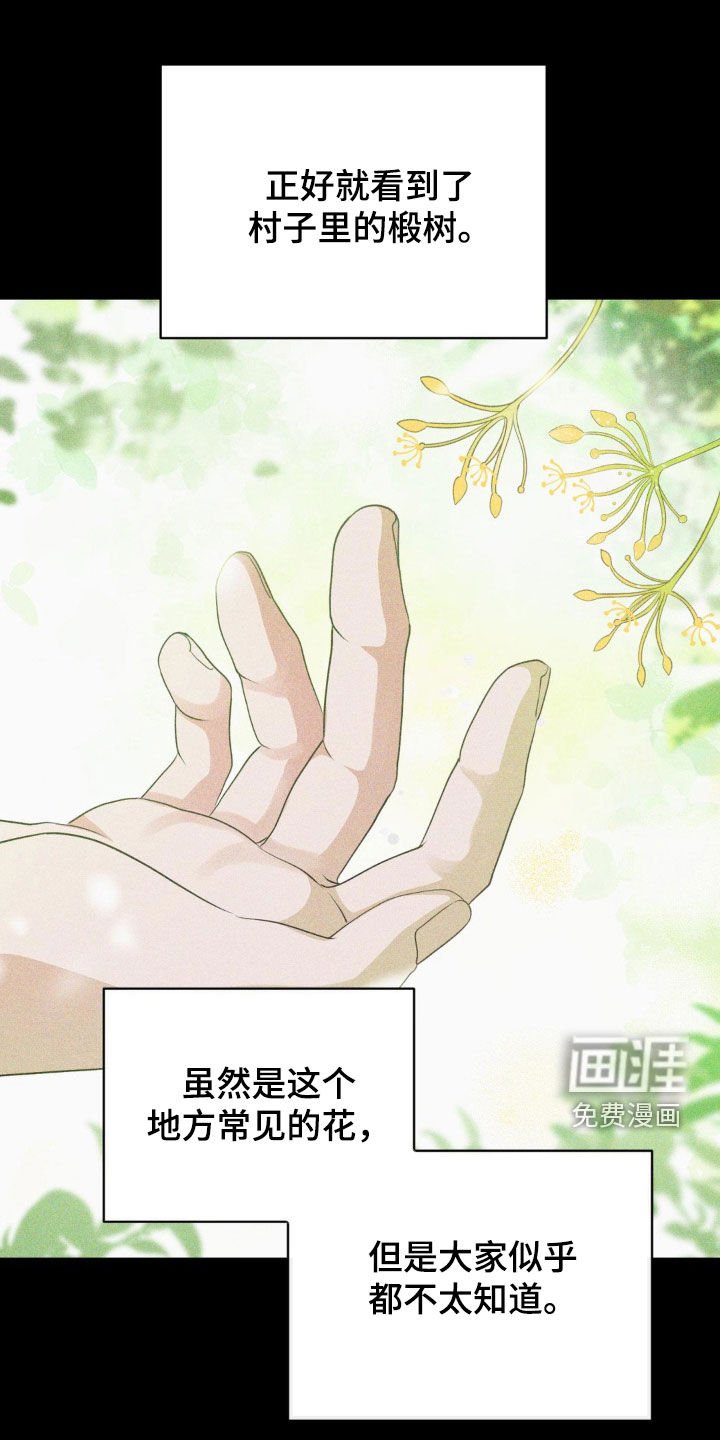第63章：名字的由来