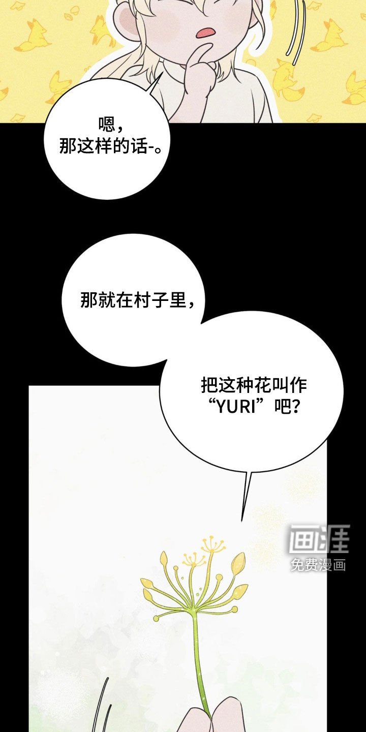 第63章：名字的由来