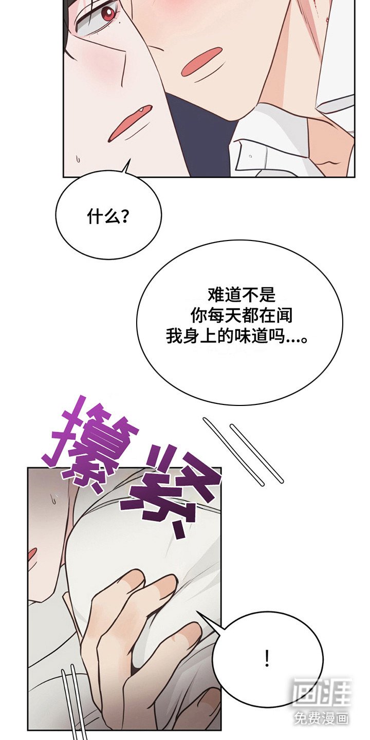 第8章：再度昏厥