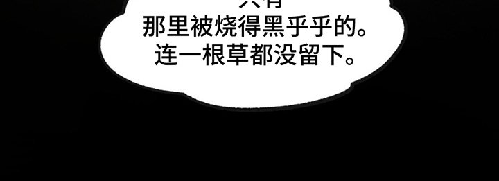 第12章：伪装