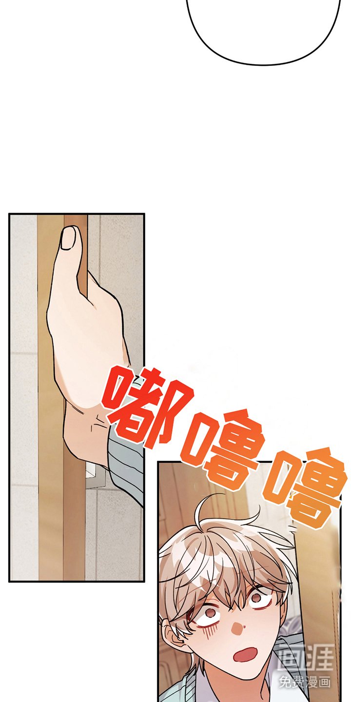第11章：偏食