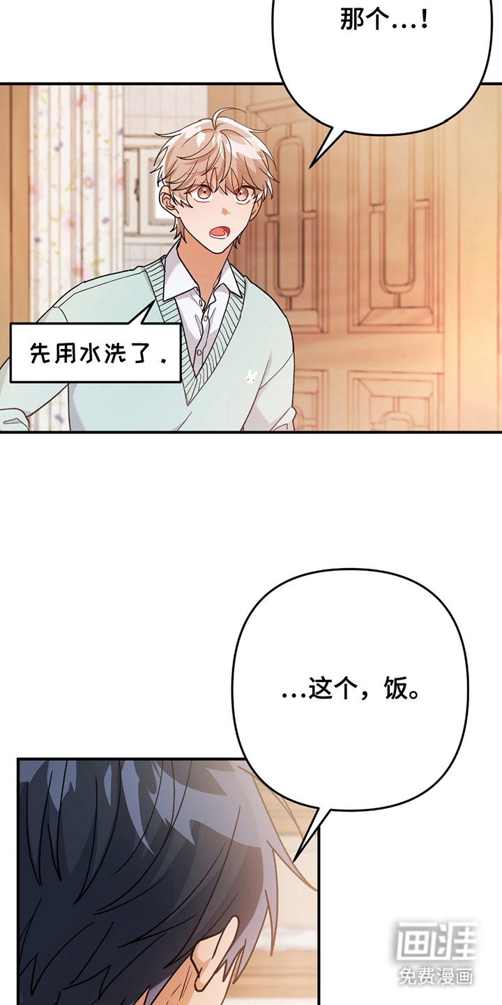 第11章：偏食