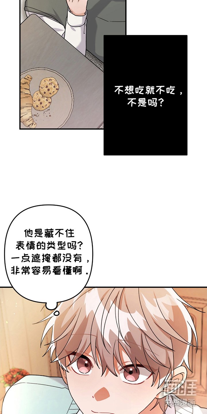 第11章：偏食
