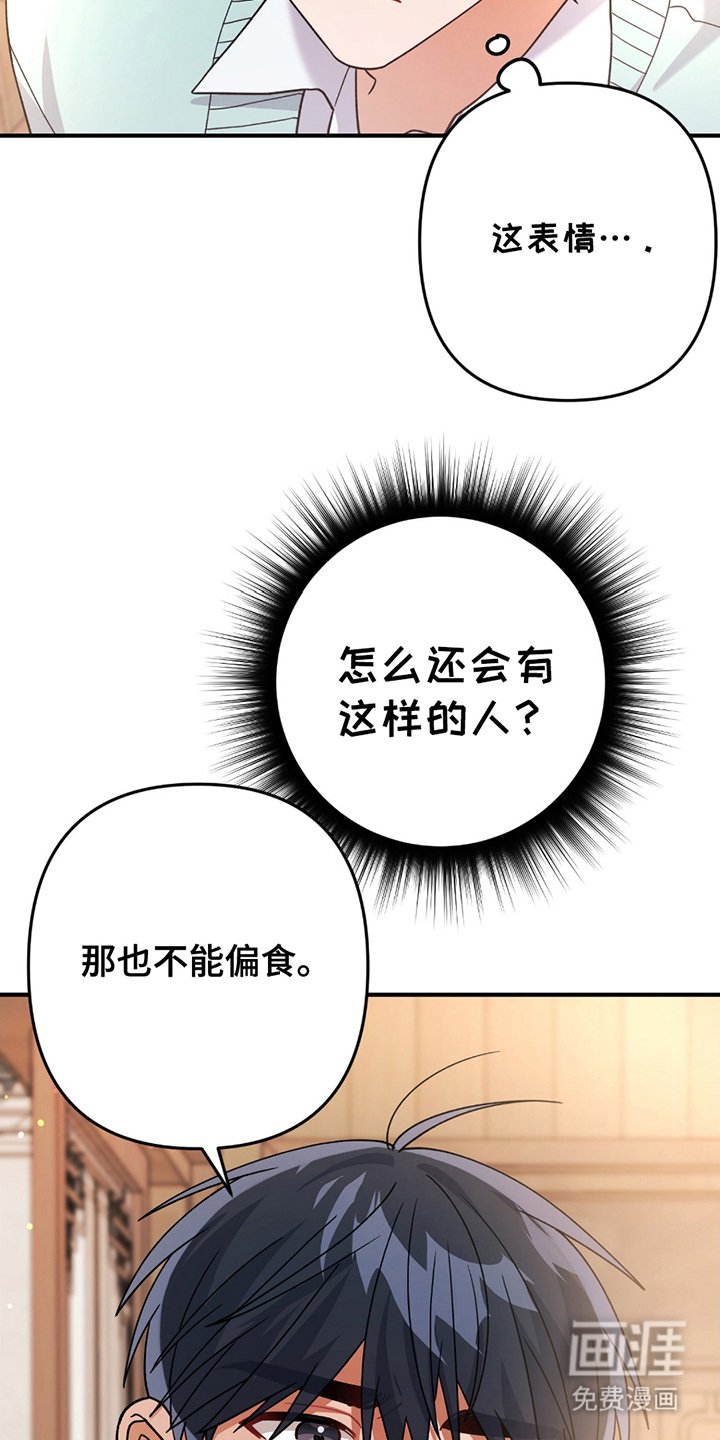 第11章：偏食