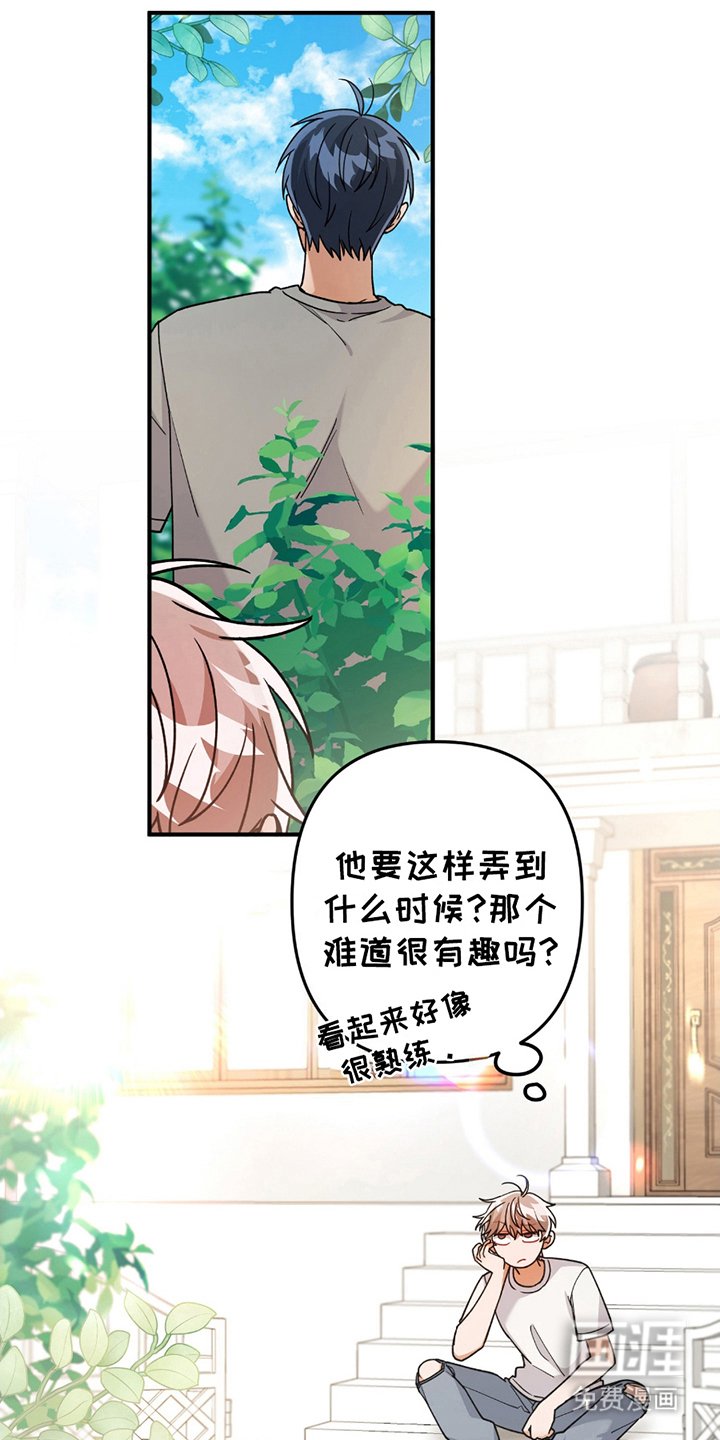 第13章：豆子饭