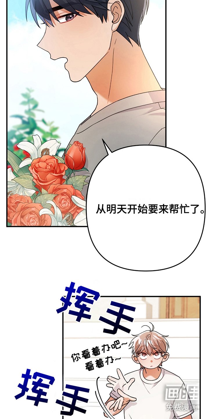 第13章：豆子饭