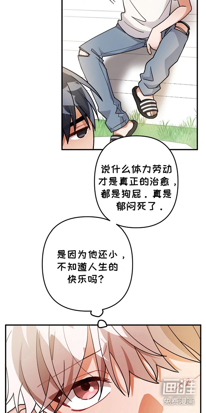 第13章：豆子饭