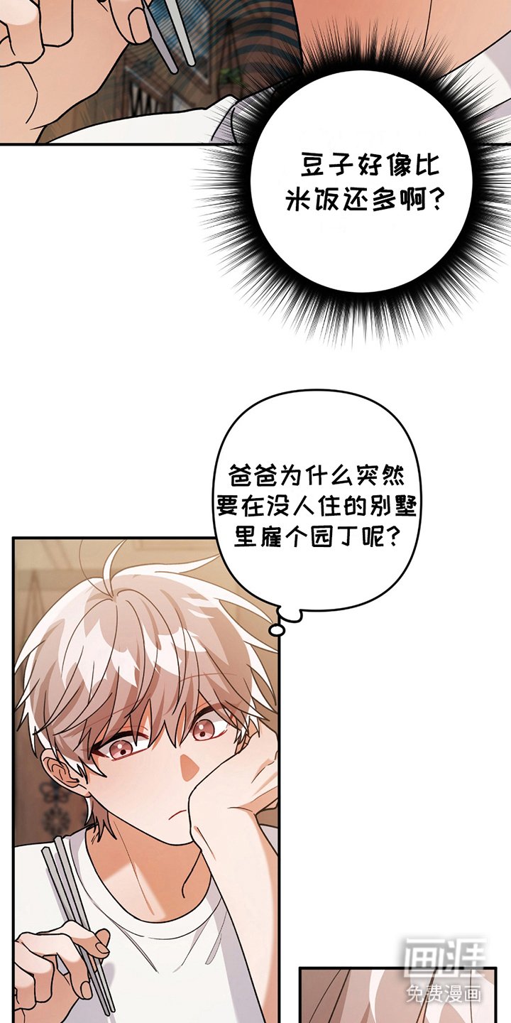 第13章：豆子饭