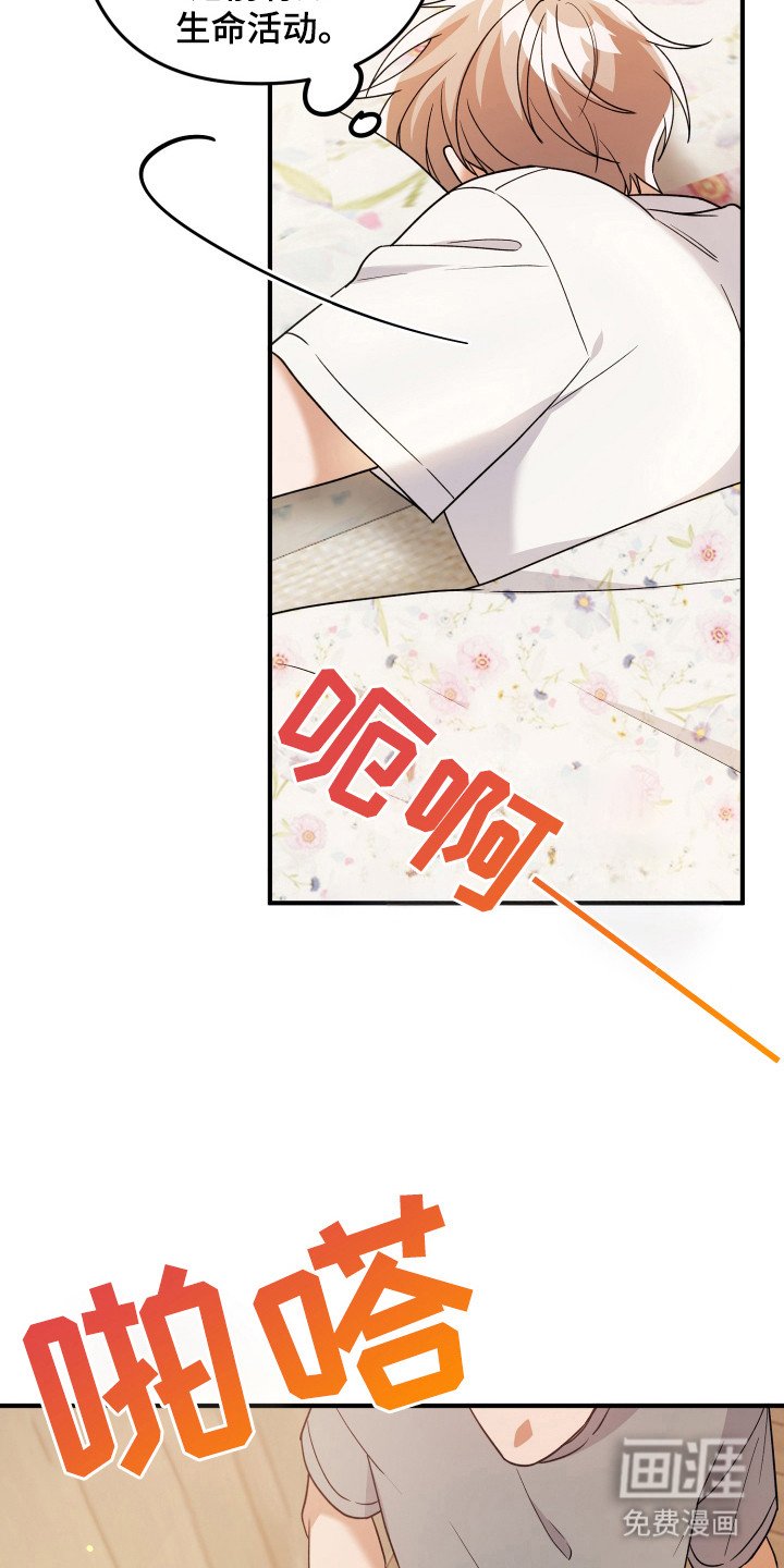 第16章：不是做梦