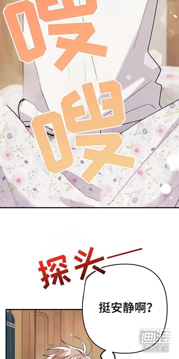 第16章：不是做梦