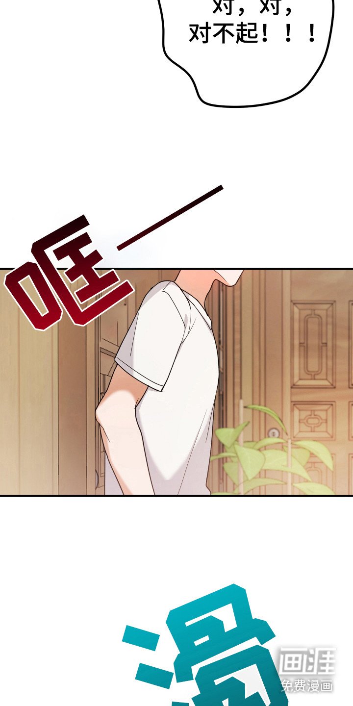 第17章：对不起！