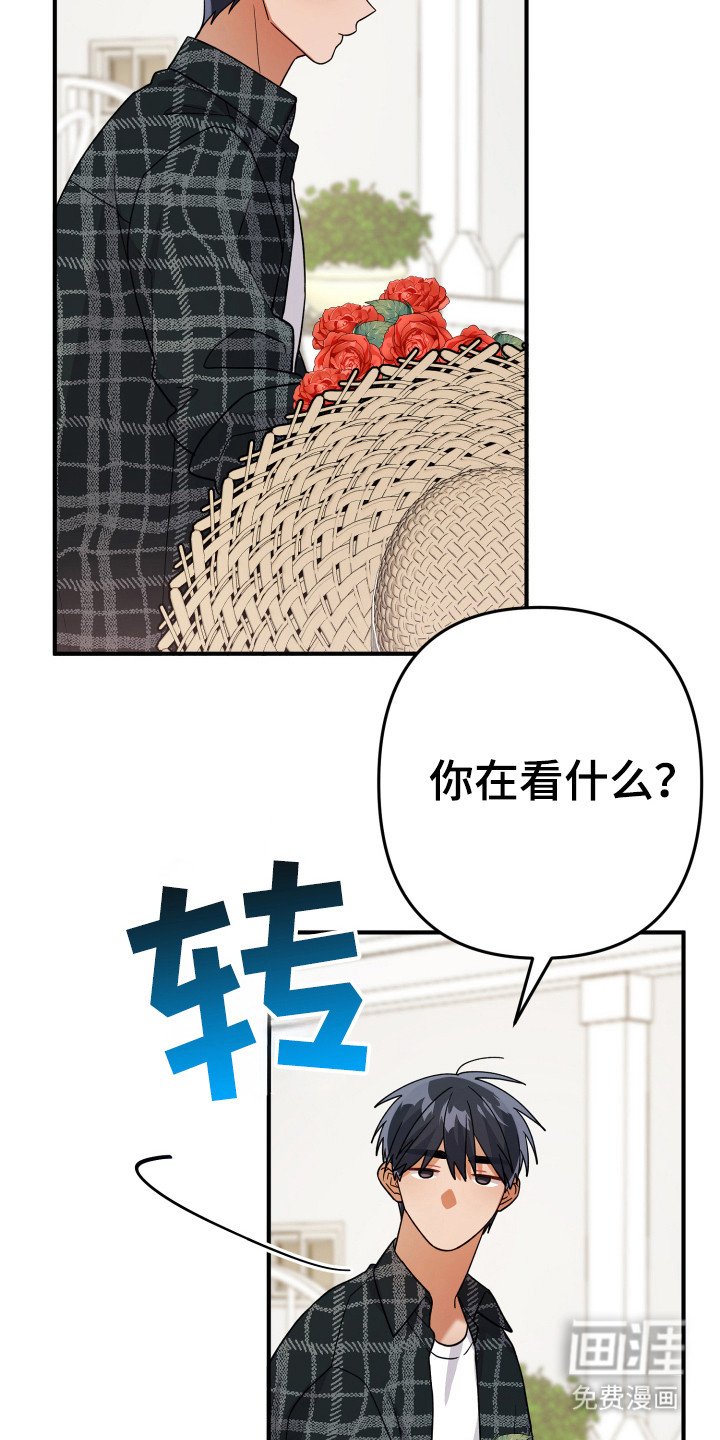 第20章：浇水