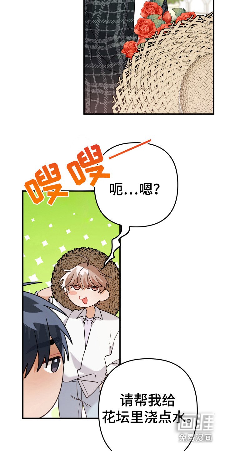 第20章：浇水