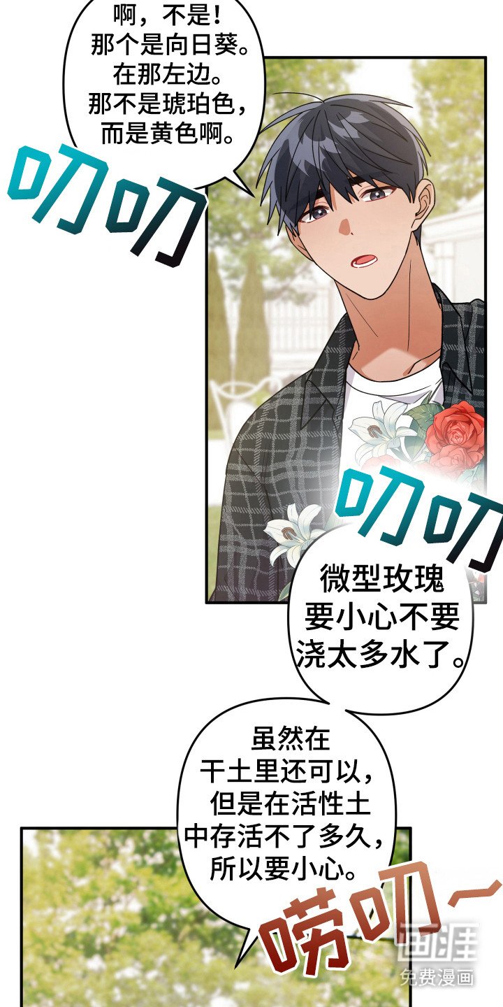 第21章：简直了