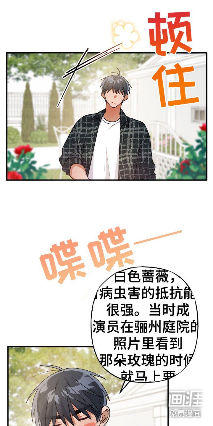 第21章：简直了