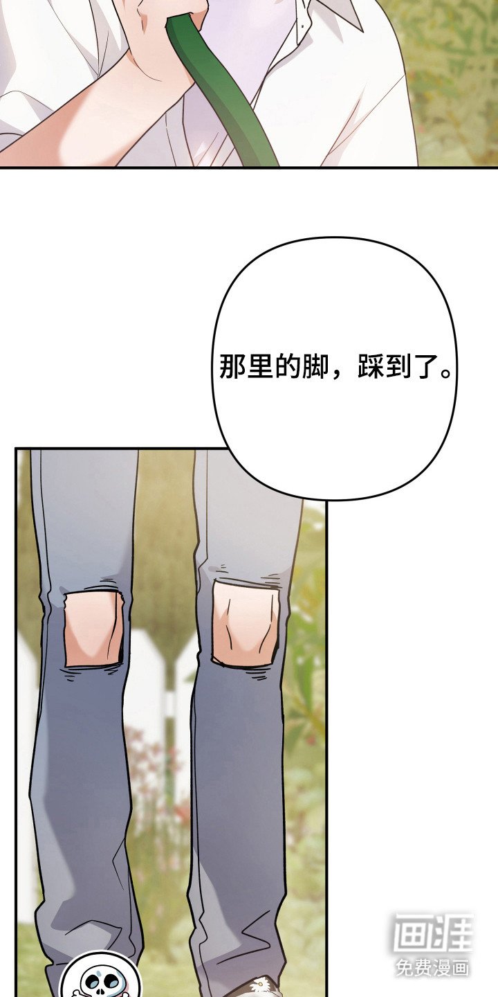 第21章：简直了