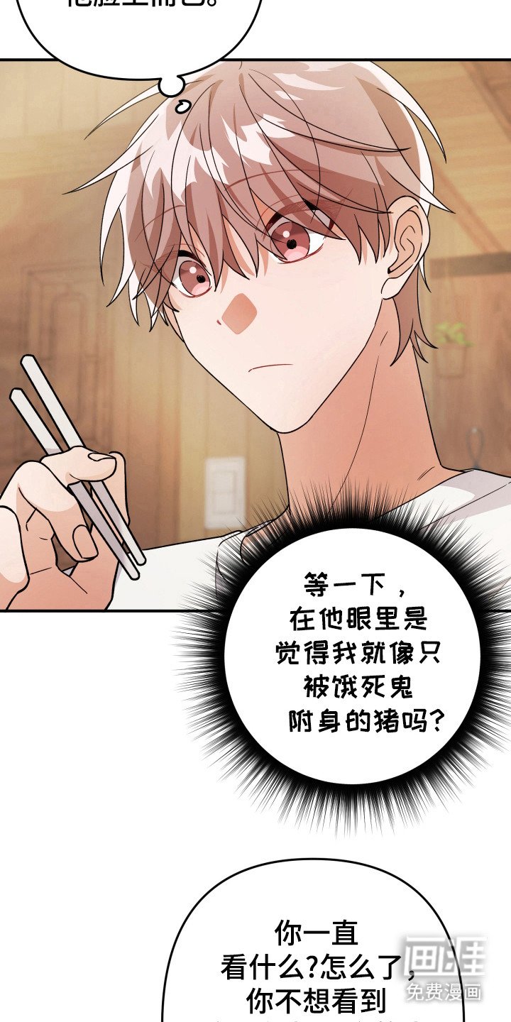 第23章：算了