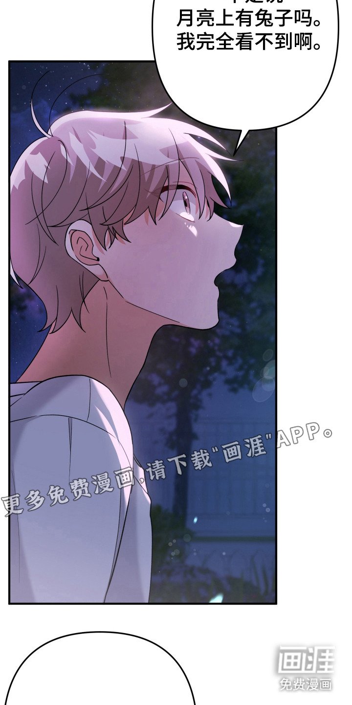 第25章：看到了